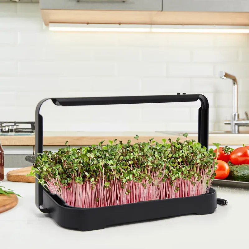 Smart Garden Usa - Bac hydroponique pour micro-légumes d'intérieur, système
