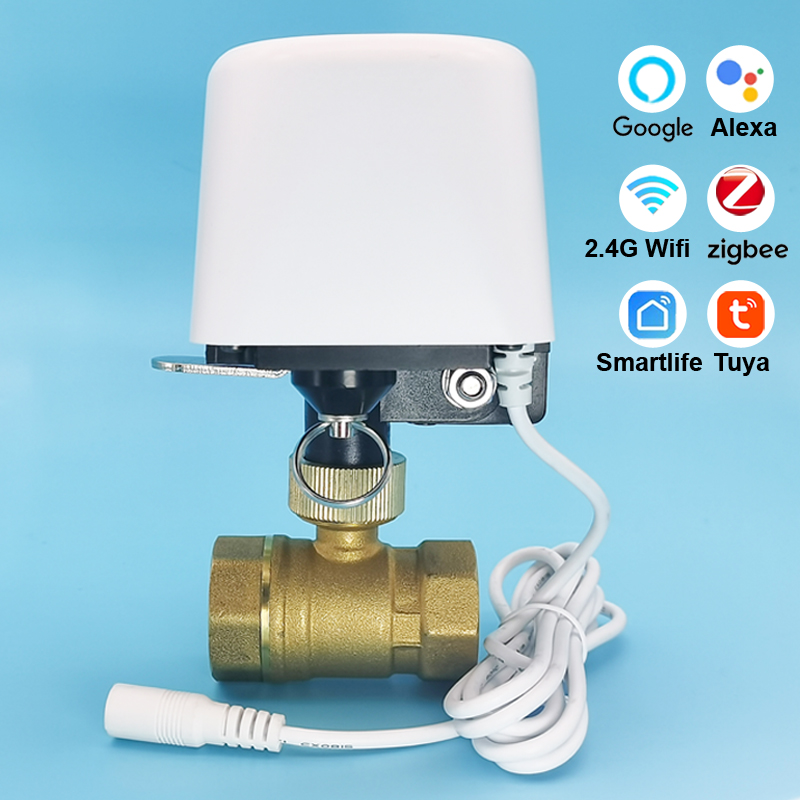 Vanne d'eau intelligente Tuya  - Smart Garden Accessories avis et prix
