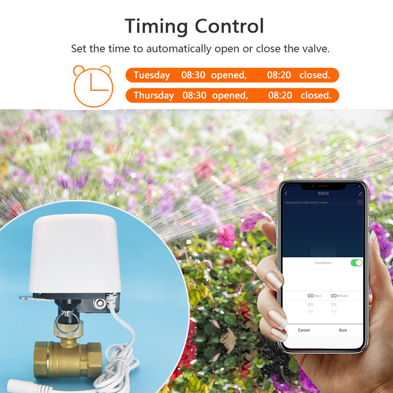 Vanne d'eau intelligente Tuya  - Smart Garden Accessories avis et prix