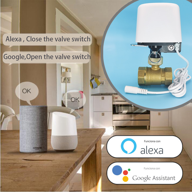 Vanne d'eau intelligente Tuya  - Smart Garden Accessories avis et prix