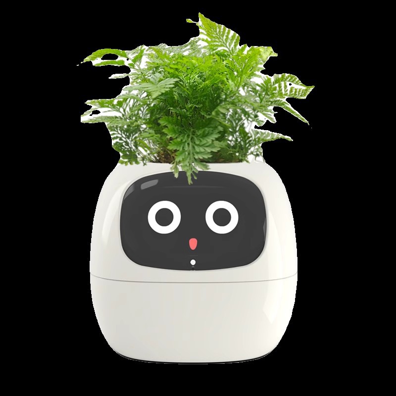 Pot de fleurs intelligent Sens - Self Watering Pot Sensor avis et prix
