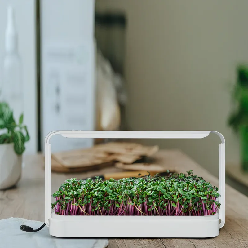 Kit de culture d'herbes aromat - Smart Garden Ideas avis et prix