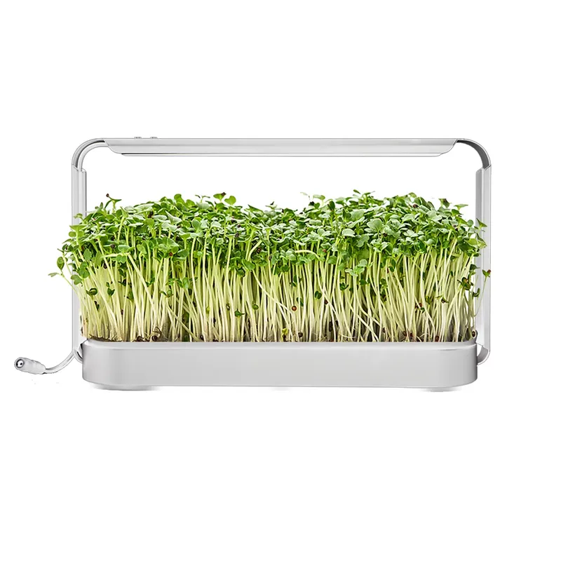 Kit de culture d'herbes aromat - Smart Garden Ideas avis et prix