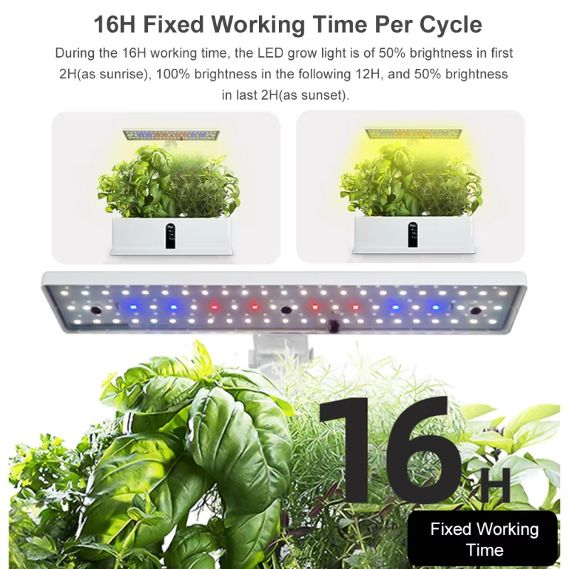 Système de culture hydroponiqu - Smart Garden Usa avis et prix