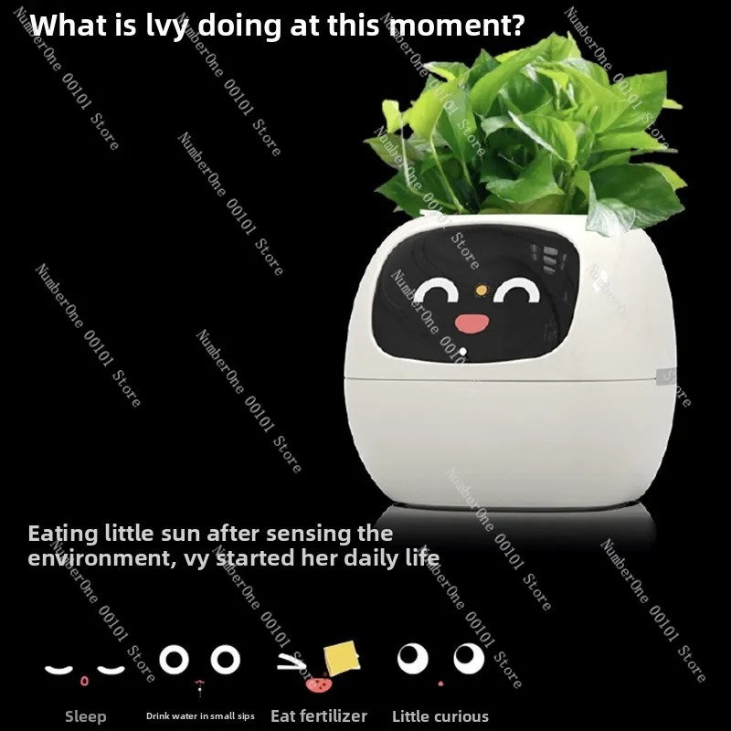 Pot de fleurs auto-arrosant re - Self Watering Pot Sensor avis et prix