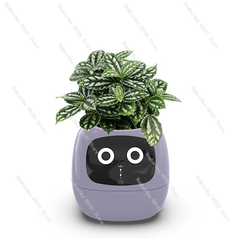 Pot de fleurs auto-arrosant re - Self Watering Pot Sensor avis et prix